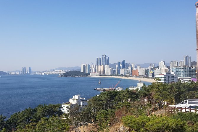 Busan Shore Excursion; Private City Tour - Key highlights at a glance