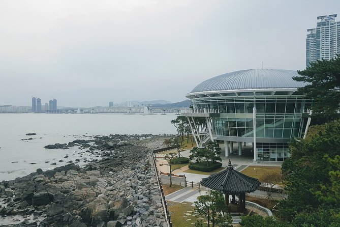 Busan Shore Excursion; Private City Tour - Why this Busan private tour is such a smart day plan