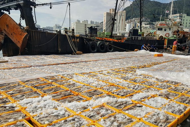 Busan Shore Excursion; Private City Tour - Stop 4: Haeundae Beach, the one-hour reality check
