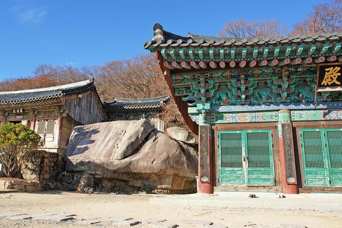 Busan Sightseeing Tour Including Gamcheon Culture Village and Beomeosa Temple - Jagalchi Fish Market: where the seafood action is the show