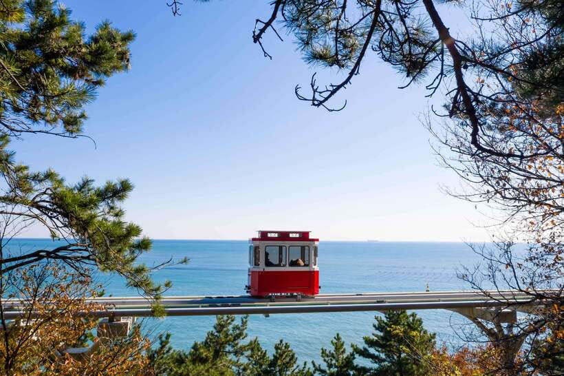 Busan: Sunset Haeundae Sky Capsule & Busan Night view Tour - Cheongsapo Daritdol Observatory: glass floor views over the sea