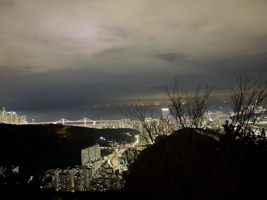Busan: The Best Night View Small Group Tour - The Café Stop for Tea and Local Stories (Not Just a Break)