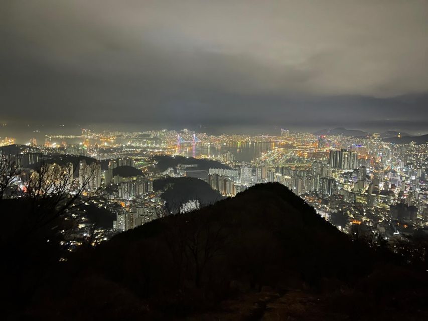 Busan: The Best Night View Small Group Tour - What the Local Guide Actually Does (And Why People Love It)