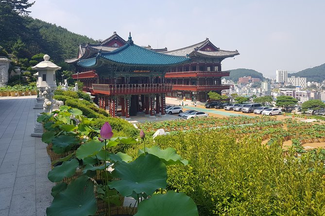 Busan Tour: Gamcheon Village & Haedong Yonggungsa Temple + Lunch - Who Should Book This Busan Highlights Day Trip