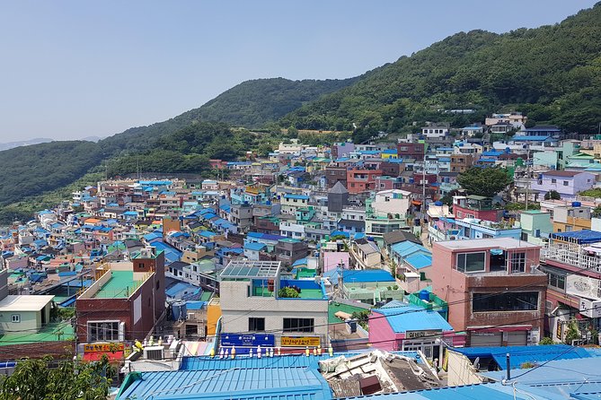 Busan Tour: Gamcheon Village & Haedong Yonggungsa Temple + Lunch - Hwangnyeongsan Mountain: 427 m Views Without the Full-On Trek