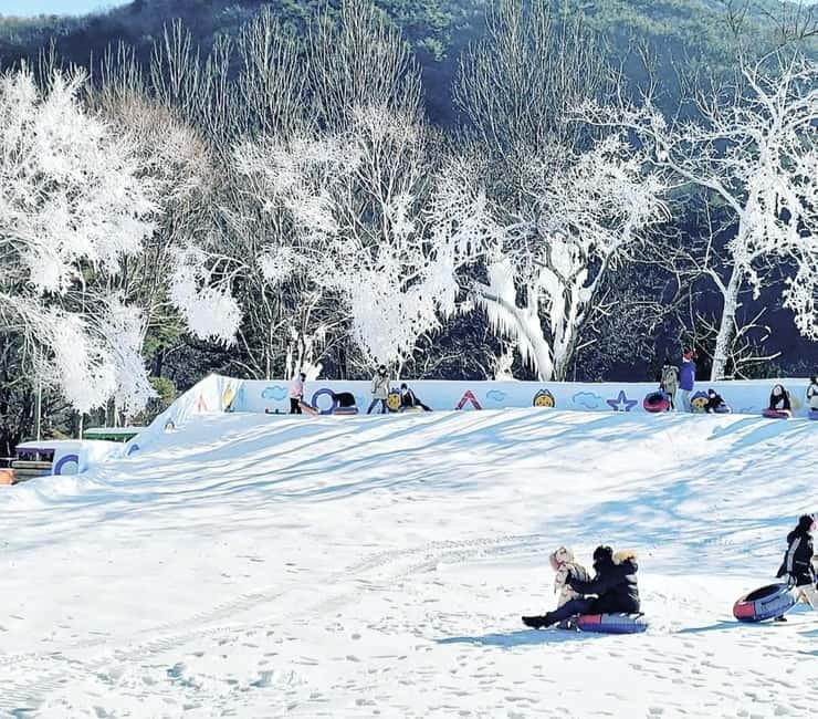 Busan: Winter Healing Park and (Gyeongju/Daegu) One Day Tour - Key things to know before you go
