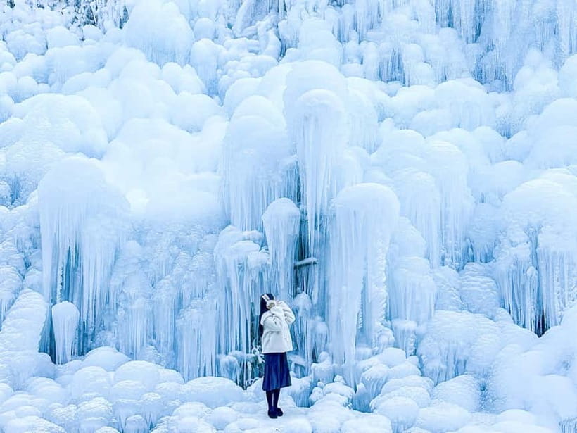 Busan: Winter Healing Park and (Gyeongju/Daegu) One Day Tour - Gyeongju Option: Bulguksa Temple, Gyochon Village, Hwangnidan Street, Woljeong Bridge