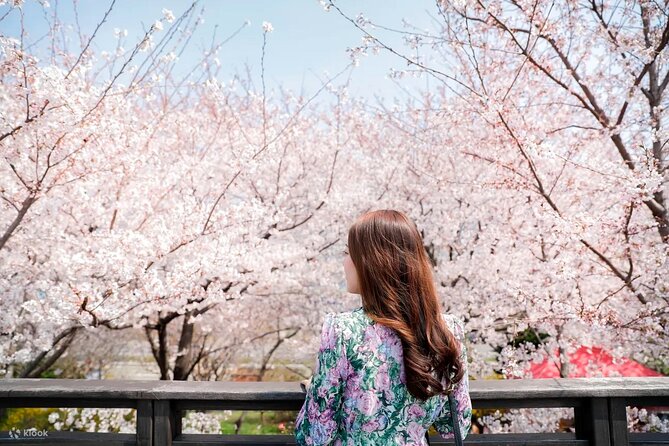 Chasing Cherry Blossom & Spring Flowers Day Tour from Seoul - Key things I’d watch for