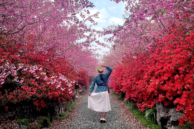 Chasing Cherry Blossom & Spring Flowers Day Tour from Seoul - The Guide Factor: Why the Right Vantage Points Matter