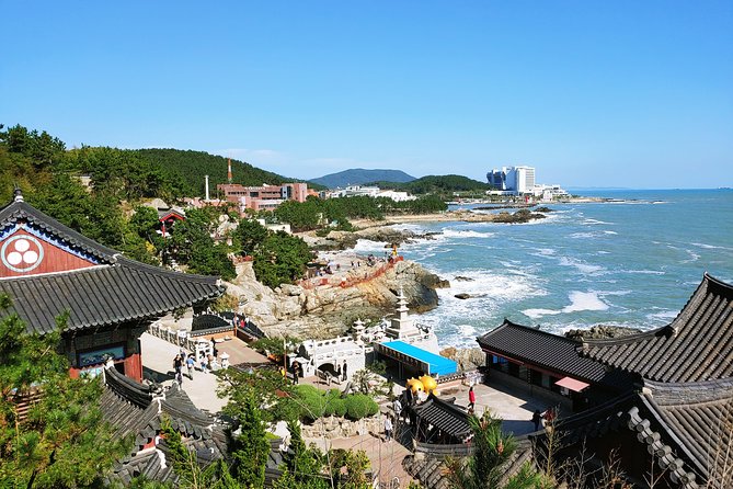 Cruise Layover Busan Highlight Tour with Sea temple and Gamcheon - 8 hours, small-group pace, and who it fits best