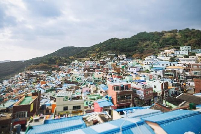 Cruise Layover Busan Highlight Tour with Sea temple and Gamcheon - Haedong Yonggungsa: the ocean-temple stop that sets the mood
