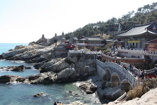 Cruise Layover Busan Highlight Tour with Sea temple and Gamcheon - Jagalchi fish market plus quick food stops