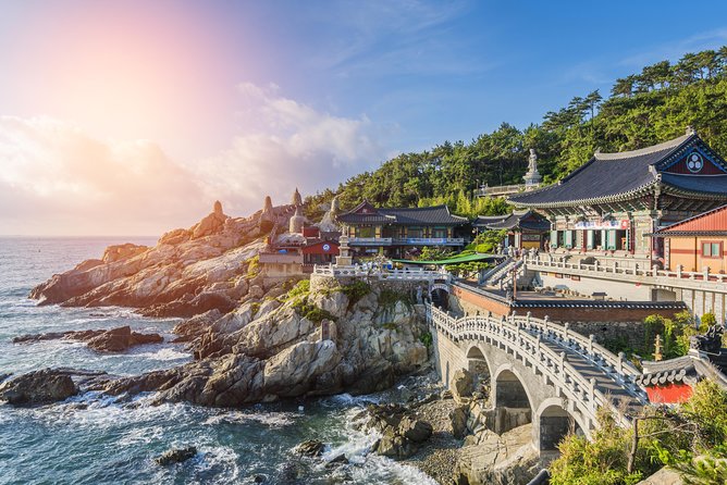 Cruise Layover : Small Group Busan Highlight Day Tour - Key Things That Make This Busan Day Tour Worth Your Port Day