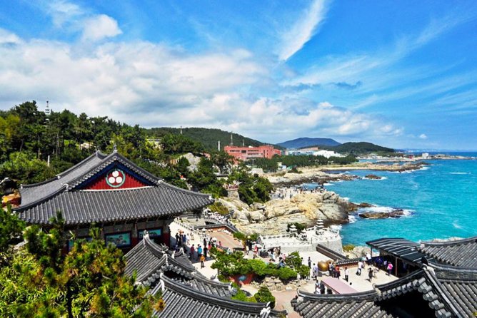 Cruise Layover : Small Group Busan Highlight Day Tour - UN Memorial Cemetery: A Quiet Stop With Strong Meaning