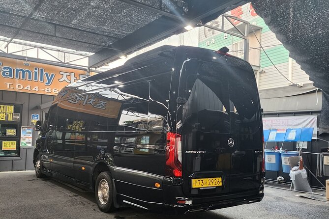 Customizable Private Seoul Tour in luxury van for VIP - Gyeongbokgung Palace: the Josun Dynasty must-see, explained simply