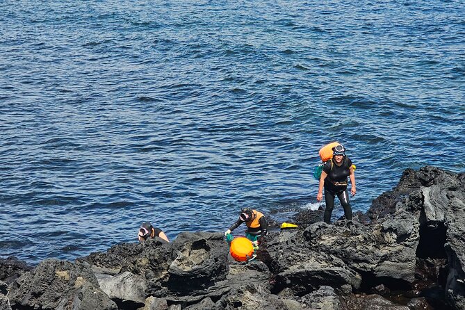 Customized private tour in Jeju island - South coast hits: Jeongbang Falls, Oedolgae, and Jusangjeli