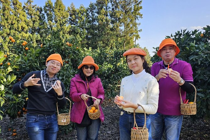 Customized private tour in Jeju island - The driver experience: Hong-min Lee, patient pacing, and language reality