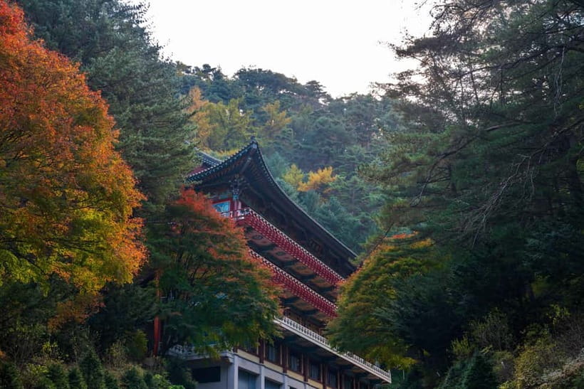Danyang Tour:Guinsa Temple & Bobaljae & Cheongpung Cable Car - Key things you should notice before you go