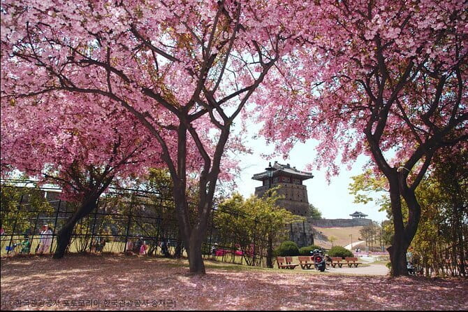 Day Tour of Suwon Hwaseong Fortress Starfield Waujeongsa Temple - Pacing, What to Bring, and How to Keep the Day Enjoyable