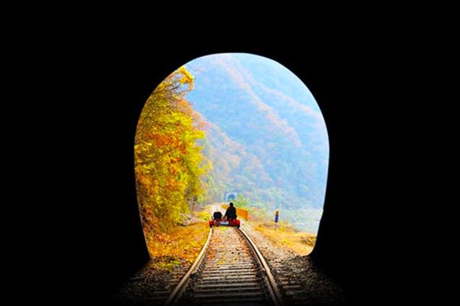 Day Tour to Gangchon Rail Bike Nami Island and Petite France - Petite France: the smaller stop that still delivers a big theme shift