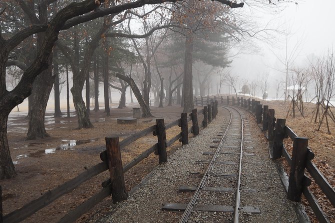 Day Tour to Gangchon Rail Bike Nami Island and Petite France - Lunch and pacing: keeping a 9-hour day enjoyable