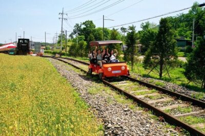 Day Trip to Nami Island with Rail bike and The Garden of Morning Calm