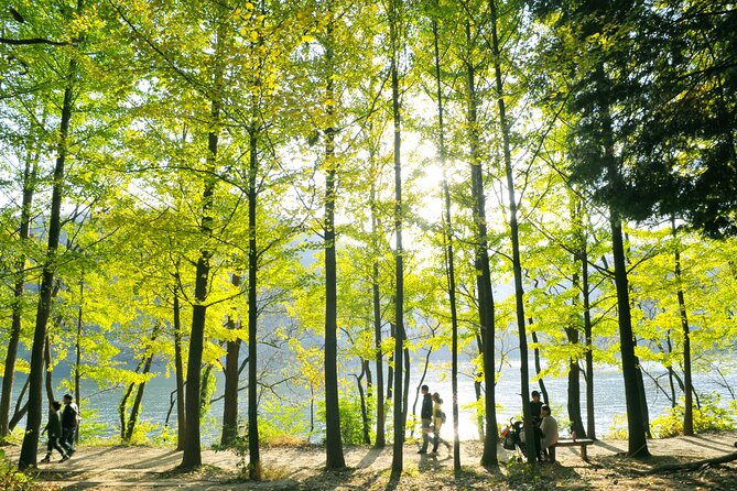 Day Trip to Nami Island with Rail bike and The Garden of Morning Calm - How the 11 to 12 hour day really feels