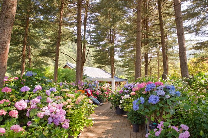Day Trip to Nami Island with The Garden of Morning Calm - Price and value: what your $50.48 really buys