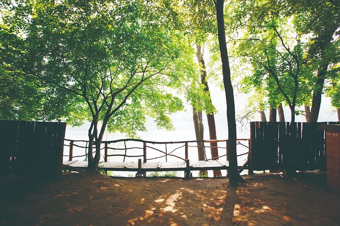 Day Trip to Nami Island with The Garden of Morning Calm - Who should book this trip, and who should skip it
