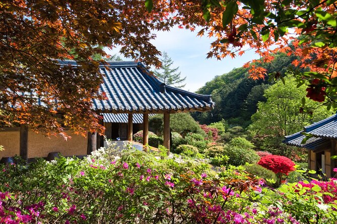 Day Trip to Nami Island with The Garden of Morning Calm - Timing, traffic, and weather, the main risk to plan around