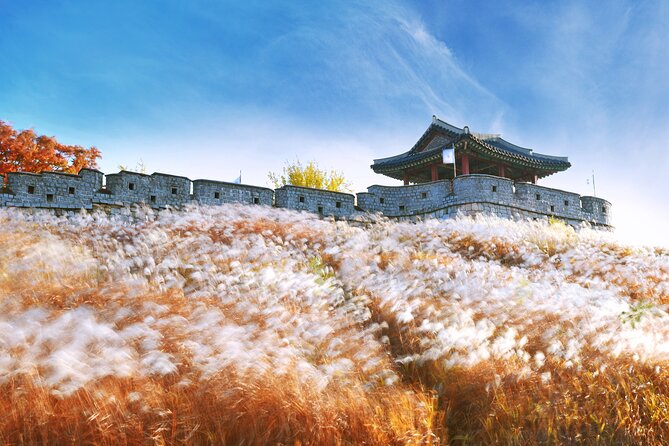 Day Trip to UNESCO: Suwon Fortress Adventure from Seoul - Getting There Smoothly: Myeong-dong Meeting Point and Pickup Reality