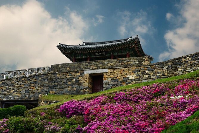 Discover Western Korea in 4days: All-Inclusive Experience - Day 3 in Boseong and Suncheon Bay: tea terraces followed by wetlands with wildlife energy