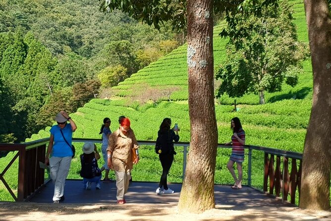 Discover Western Korea in 4days: All-Inclusive Experience - Getting around: meeting points, vehicle comfort, and when KTX comes into play