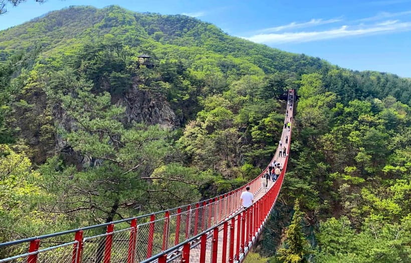 DMZ; NK Defector, 3rd Tunnel, Suspension Bridge,Hotel pickup - Passport-Ready Security: What You Need Before You Leave Seoul