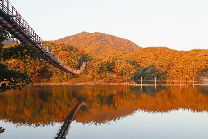 DMZ Private Tour: 3rd Tunnel, Option(Suspension Bridge, Boat) - Dora Observatory: turning a view into understanding