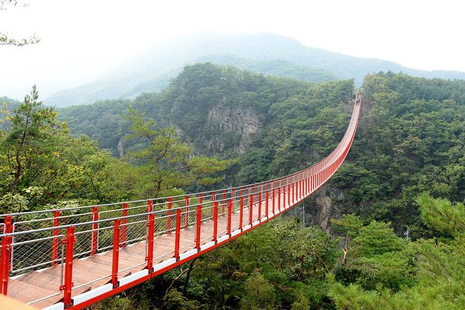 DMZ Tour: 3rd Tunnel, Option(Suspension Bridge, Boat) from Seoul - Dora Observatory: using the view to understand the frontier