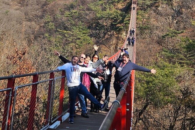 DMZ Tour from Seoul - Optional Suspension Bridge Experience - Dorasan Station closure, and why your day may change