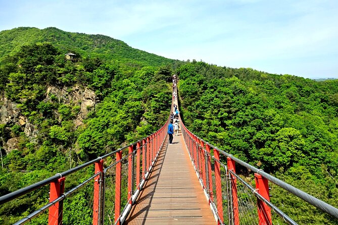 DMZ Tour from Seoul – Optional Suspension Bridge Experience - Price and value for a border-zone day