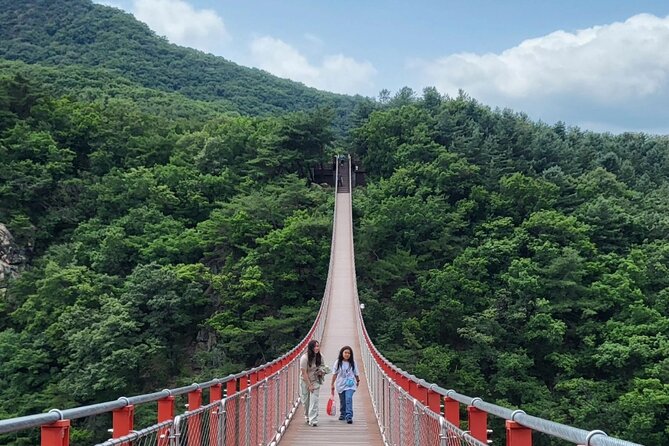 DMZ Tour Seoul to North Korea's 3rd Tunnel & Majang Lake Crossing - The Peace Bell moment at Imjingak Park