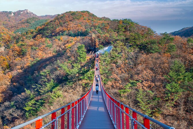 DMZ Tour Seoul to North Korea's 3rd Tunnel & Majang Lake Crossing - First DMZ stops: Imjingak clearance and the peace-park foundation
