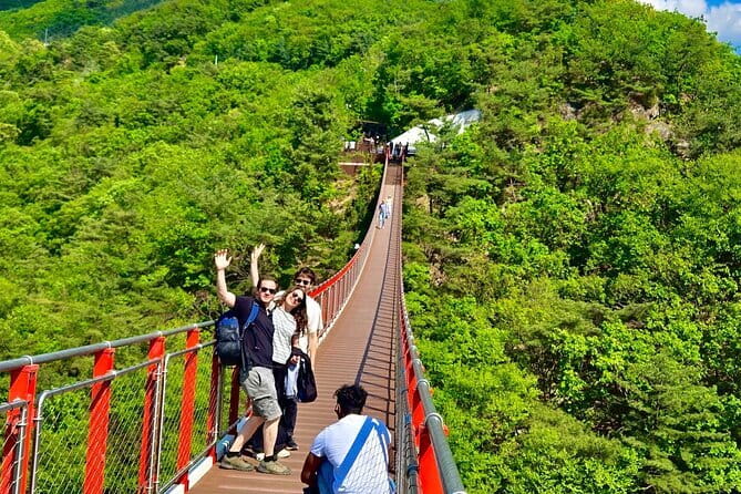 DMZ Tour + The War Memorial of Korea Museum - The Third Tunnel: Steep, Narrow, and Very Much a Physical Experience