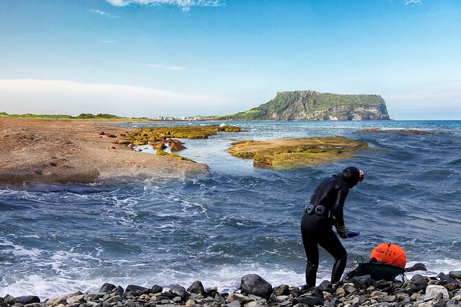 East Jeju Essentials - Seongsan Ilchulbong (UNESCO) & Haenyeo - Key reasons this East Jeju tour is worth a look