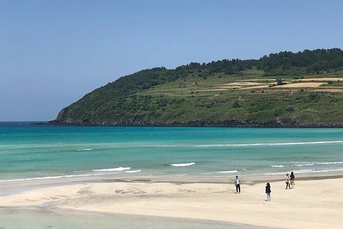 East of Jeju island Bus Tour from Seogwipo city, Jeju island - Seongsan Ilchulbong: 180 meters of volcanic drama and habitats