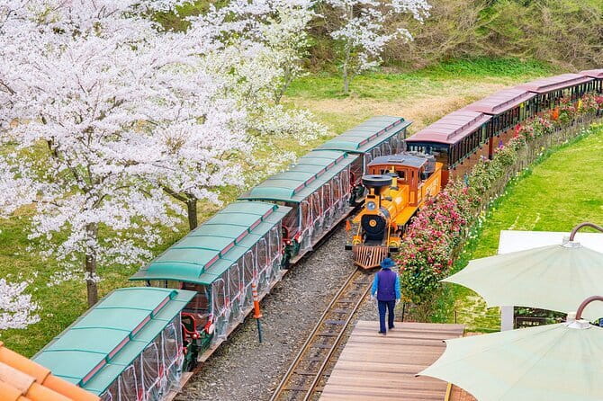 East of Jeju island Bus Tour from Seogwipo city, Jeju island - Manjanggul Lava Tube: the world-class cave, plus the closure plan