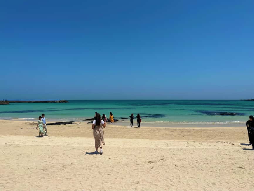 Eastern Jeju Healing UNESCO Small Group Day Tour - Entering a calmer, smarter day in Eastern Jeju