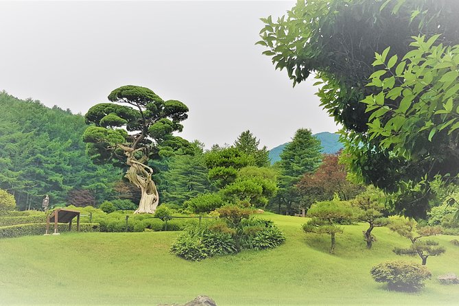 Easy private tour to Nami Island, Garden of Morning Calm - Garden of Morning Calm: Four-Season Design and Winter Lights at 6 p.m.