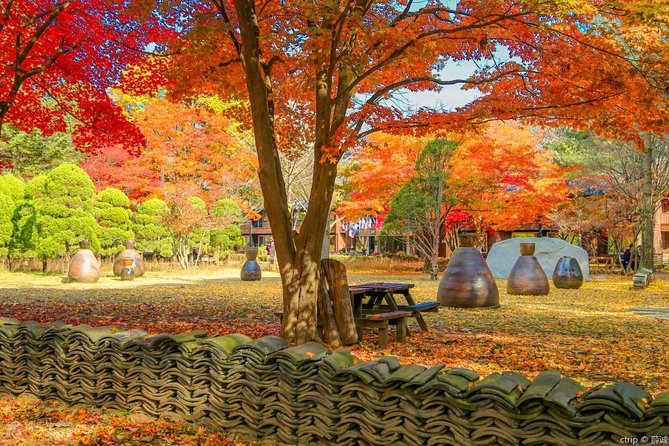 Easy private tour to Nami Island, Garden of Morning Calm - Guide Style That Matters: Ms. Lee, Moonhak Song, and Photo Help