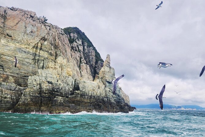 Enchanting Oedo Island Day Tour from Busan with Windy Hill - Windy Hill drama views in an hour you can actually enjoy