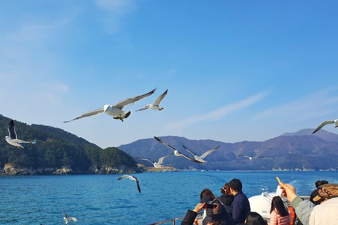 Enchanting Oedo Island Day Tour from Busan with Windy Hill - Tips to make the day smoother (and more fun)