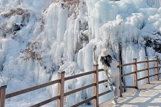 Eobi Ice Valley, Nami Island, Morning Calm and Rail Bike Seoul - Pickup timing in Seoul, and why the start matters